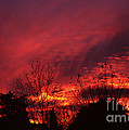Dundee Sunset